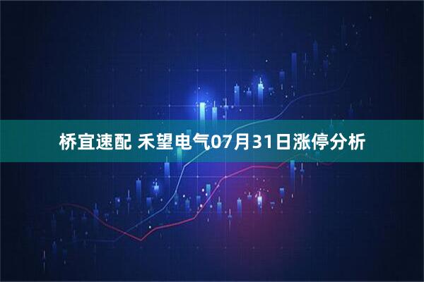 桥宜速配 禾望电气07月31日涨停分析