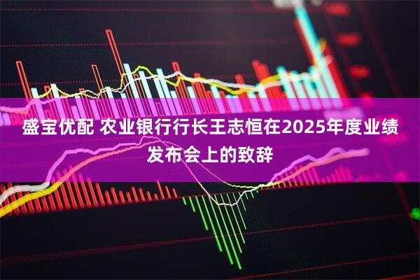 盛宝优配 农业银行行长王志恒在2025年度业绩发布会上的致辞